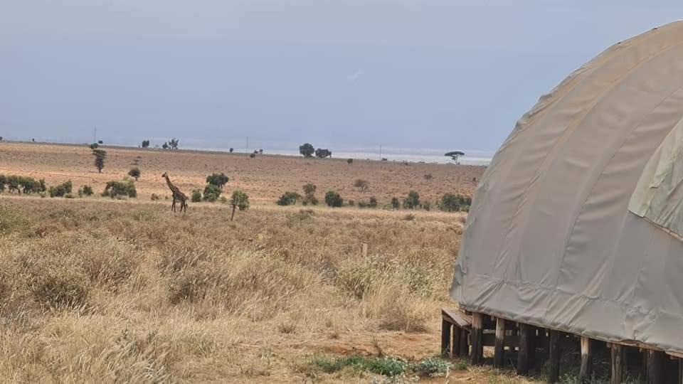 Little Amanya Camp Hotel Amboseli Room photo